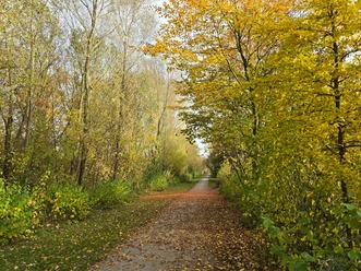 Herbst am Golfplatz