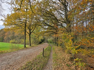 Herbstlicher Anblick