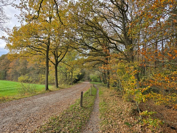 Herbstlicher Anblick