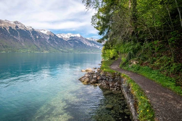 The picturesque Brienzersee shore with a magnificent view of the mountains.
