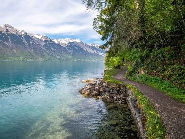 Das malerische Brienzerseeufer mit herrlicher Aussicht auf die Bergwelt.