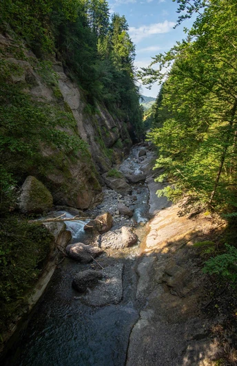 Erhielt 2024 den «Gewässer- Oskar»: die Zulg.