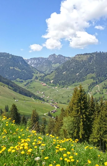 Aussicht von Röschteschwend auf die Streusiedlung Zwischenflüh