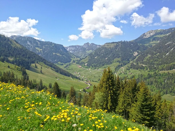 View from Röschteschwend to the scattered settlement Zwischenflüh