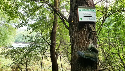 Rundweg Neuwerk-Rappbodetalsperre-Wendefuhrter Talsperre