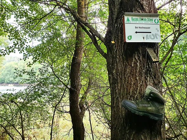 Rundweg Neuwerk-Rappbodetalsperre-Wendefuhrter Talsperre