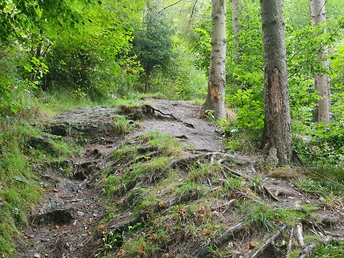 Abwechslungsreiche Wegführung in der Nähe von Neuwerk