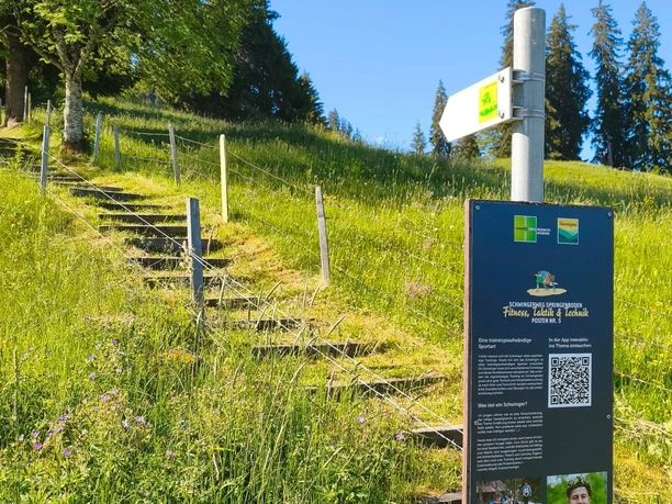 Wer schafft es, mit beiden Beinen gleichzeitig die Treppe hochzuhüpfen?