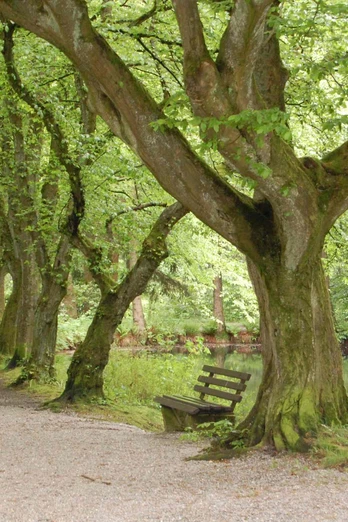 Steinway Park in Seesen