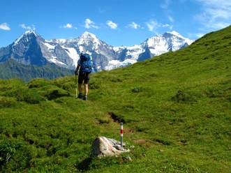 Randonnée face à l'Eiger, au Mönch et à la Jungfrau.