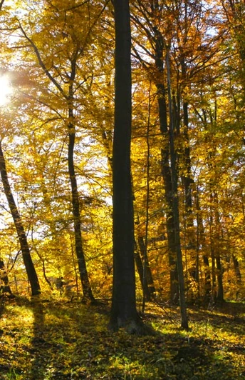 Drei-Täler-Rundwanderung