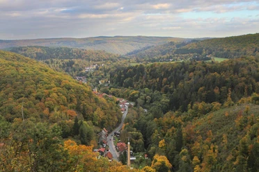 Rundwanderung zur Schöneburg