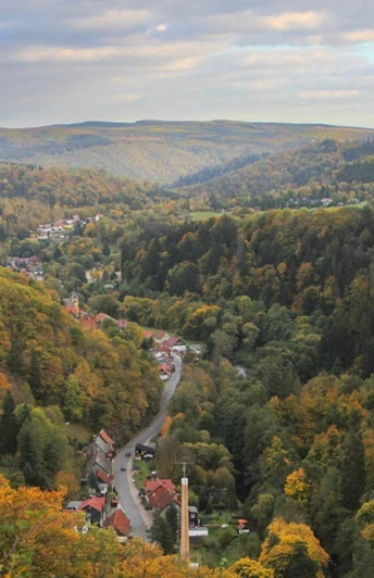 Rundwanderung zur Schöneburg