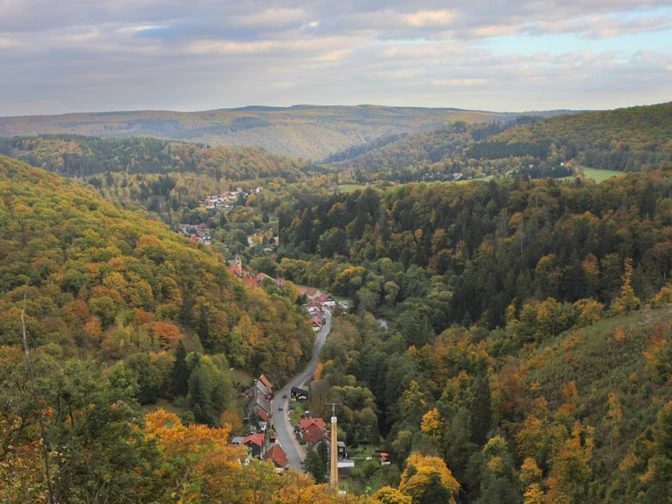 Rundwanderung zur Schöneburg