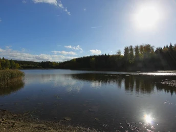 Durchs Friedenstal nach Alexisbad