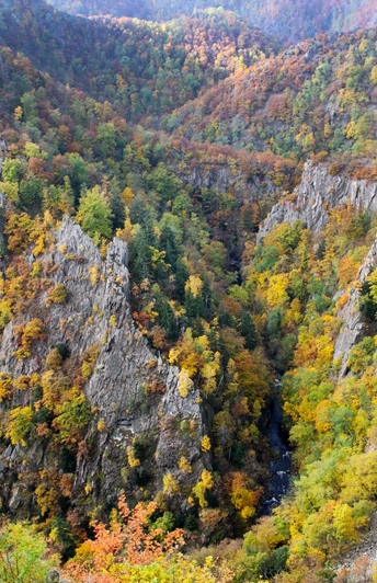 Von Thale ums Bodetal herum nach Treseburg