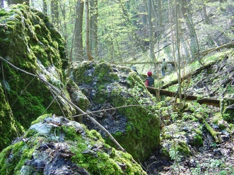 Alter Stolberg