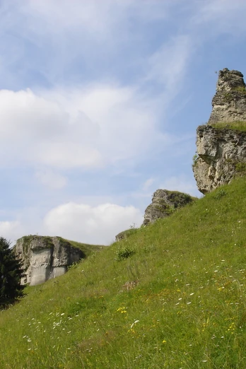 Scharzfels Steinberg