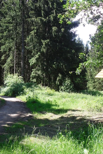 Naturerlebnispfad Clausthal-Zellerfeld