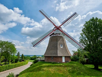 Windmühle Bad Bederkesa