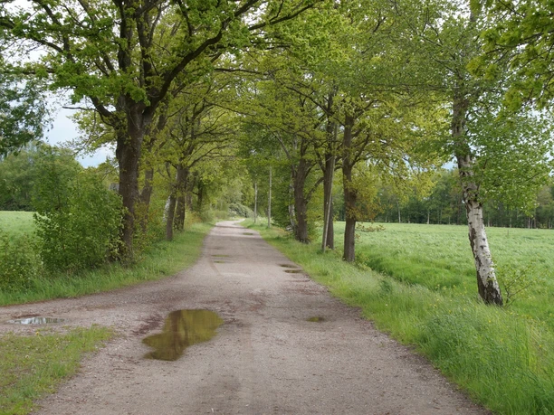 Der Weg nach Neuenwege entlang von Feldern und Wiesen