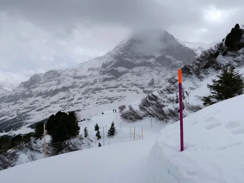 Près du jardin Arven.