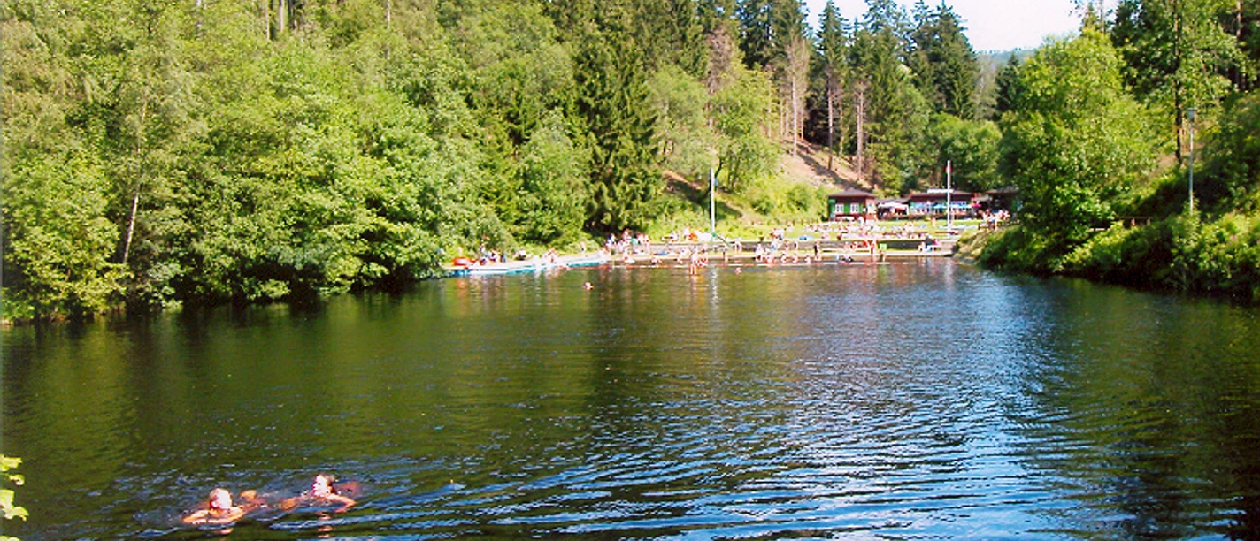 Waldschwimmbad Okerteich