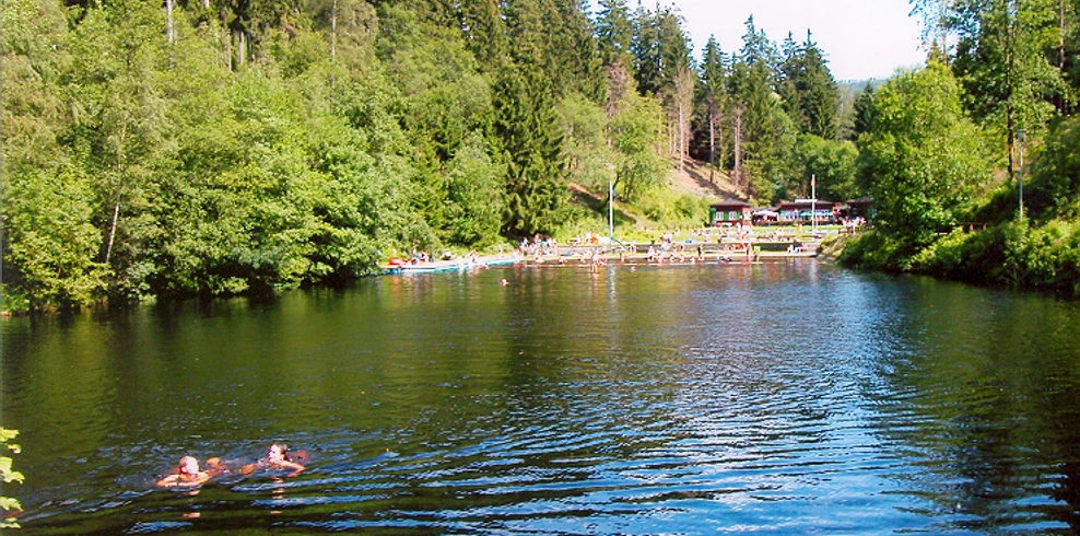 Waldschwimmbad Okerteich