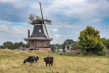 Die Rutteler Mühle an der Strecke, Bild: Anja Zervoß Varel