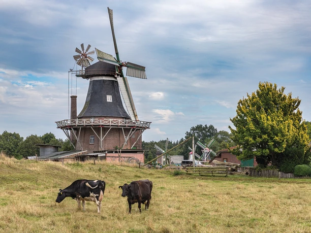 Die Rutteler Mühle an der Strecke, Bild: Anja Zervoß Varel