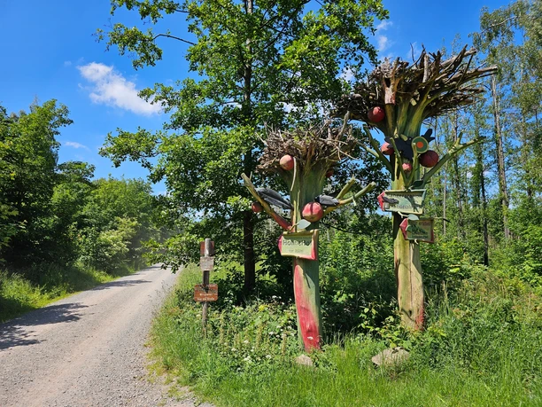 Hohnehof bei Drei-Annen-Hohne Hohnehof bei Drei-Annen-Hohne