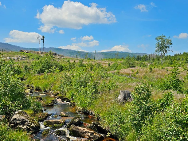 Nationalpark Harz Nationalpark Harz