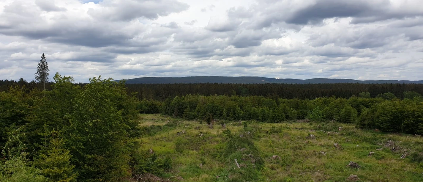 Landschaft bei Polsterberg