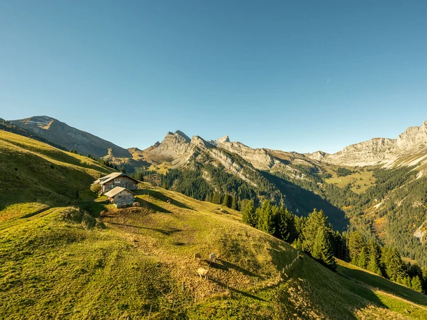 Der Stierenberg auf der Grimmialp