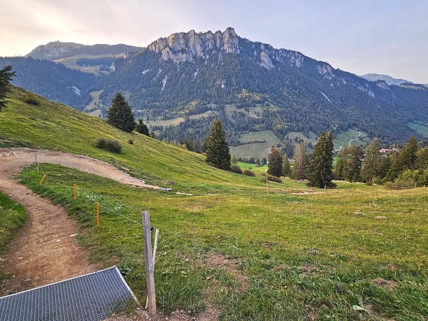 Bikepark Wiriehorn: Der Mutz Bikepark Wiriehorn: Der Mutz