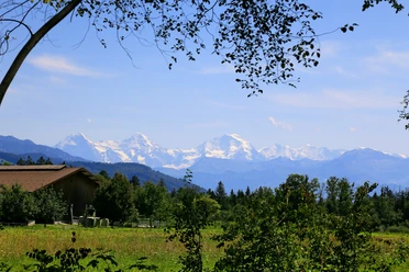 Vue sur les Alpes en chemin vers Thun.