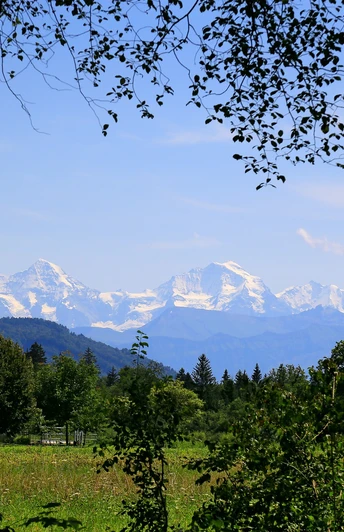 Alpensicht auf dem Weg nach Thun.