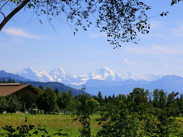 Alpensicht auf dem Weg nach Thun.