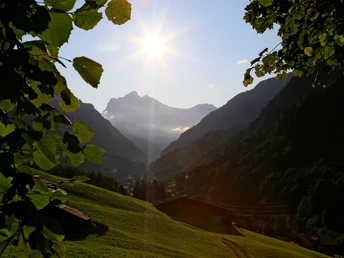 View into the Lauterbrunnen Valley.