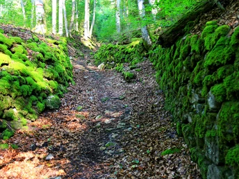 Route to Schynige Platte.