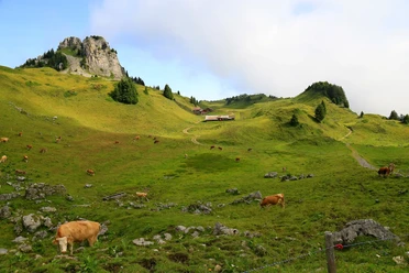 Sur la Schynige Platte.