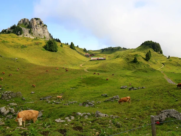 On the Schynige Platte.