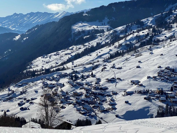 Vue depuis la Schwendi sur le village (Mittelbäuert et Bort) Beatenberg
