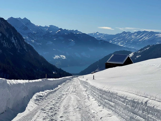 Vue sur le lac de Thoune, vue en direction de Habkern où le sentier de randonnée rejoint la route asphaltée