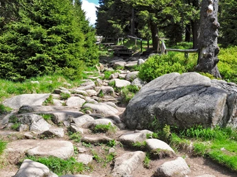 Eckerlochstieg zum Brocken