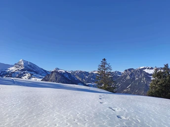 Schneeschuhtrail Springenboden mit Weitsicht über das Diemtigtal