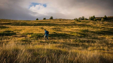 Trail runner going uphill above Beatenberg