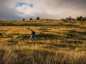Trailrunner unterwegs bergauf oberhalb Beatenberg