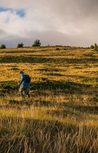 Trailrunner unterwegs bergauf oberhalb Beatenberg