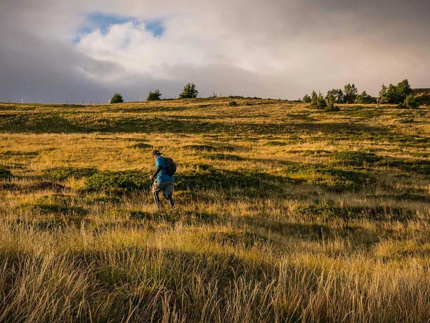 Trailrunner unterwegs bergauf oberhalb Beatenberg